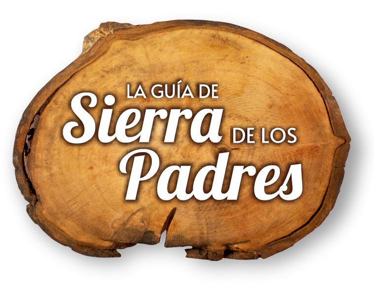 cropped logo guia 1.png