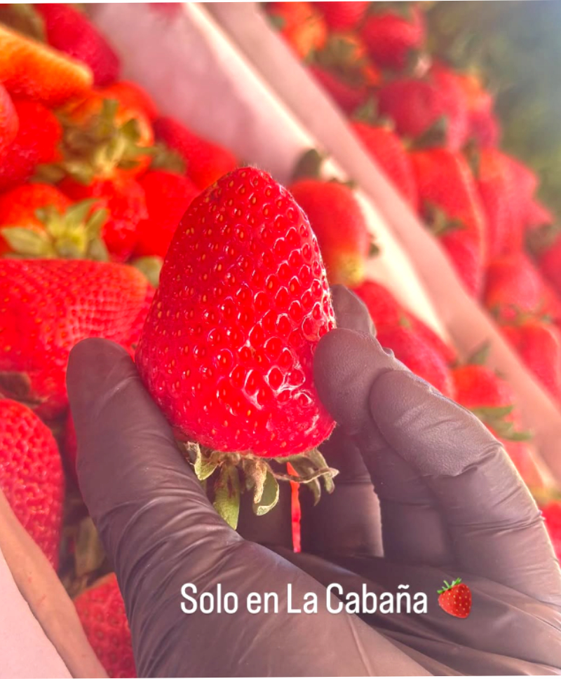 lacabana7
